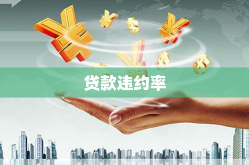 缙云贷款违约率