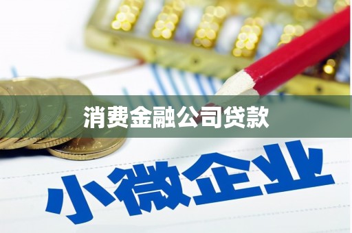 缙云消费金融公司贷款