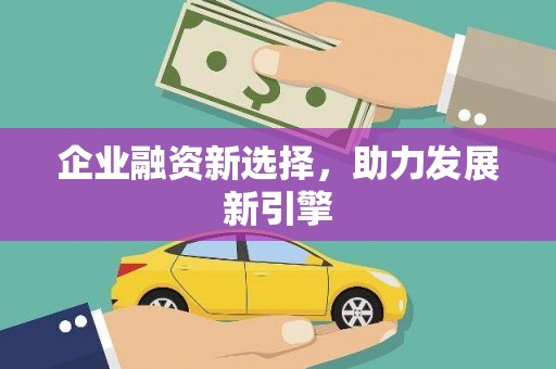 缙云企业融资新选择，助力发展新引擎