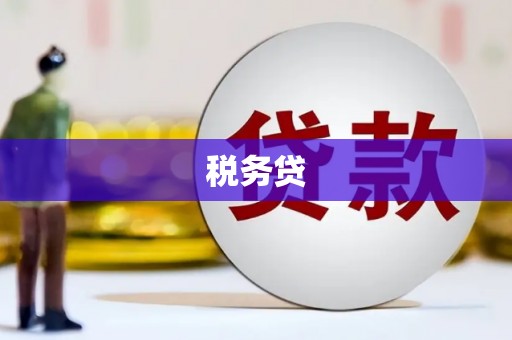 缙云税务贷