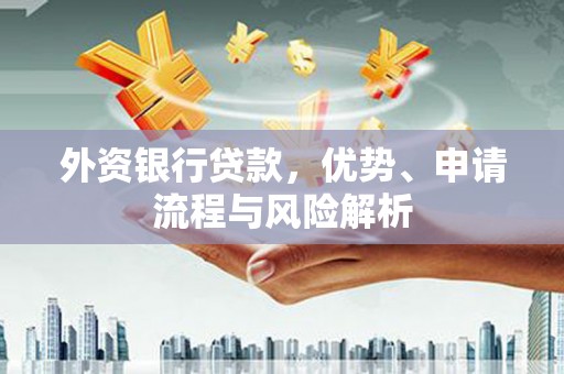 缙云外资银行贷款，优势、申请流程与风险解析