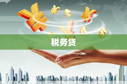 缙云税务贷