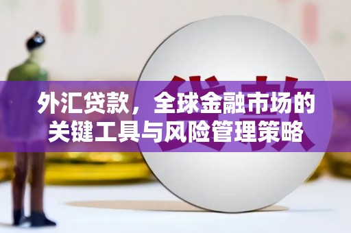 缙云外汇贷款，全球金融市场的关键工具与风险管理策略