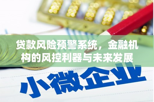 缙云贷款风险预警系统，金融机构的风控利器与未来发展