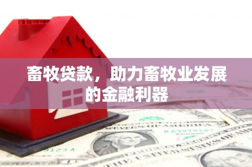 缙云畜牧贷款，助力畜牧业发展的金融利器