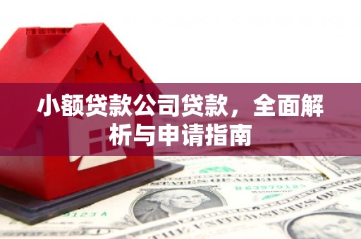 缙云小额贷款公司贷款，全面解析与申请指南