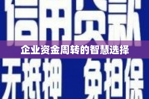 缙云企业资金周转的智慧选择