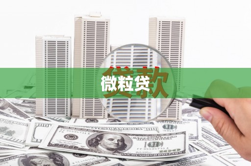缙云微粒贷