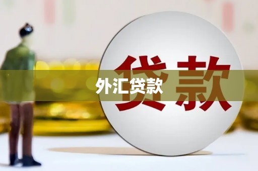 缙云外汇贷款