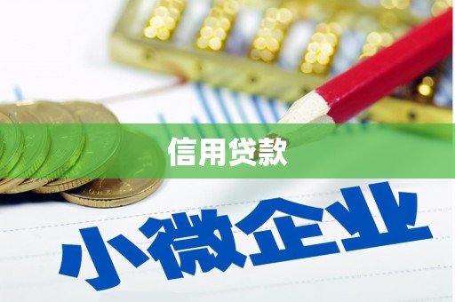 缙云信用贷款