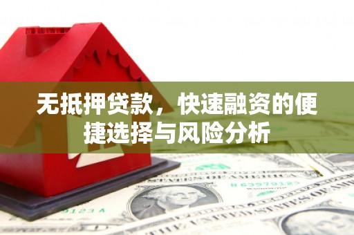 缙云无抵押贷款，快速融资的便捷选择与风险分析
