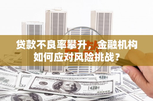 缙云贷款不良率攀升，金融机构如何应对风险挑战？