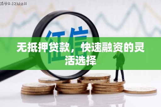 缙云无抵押贷款，快速融资的灵活选择