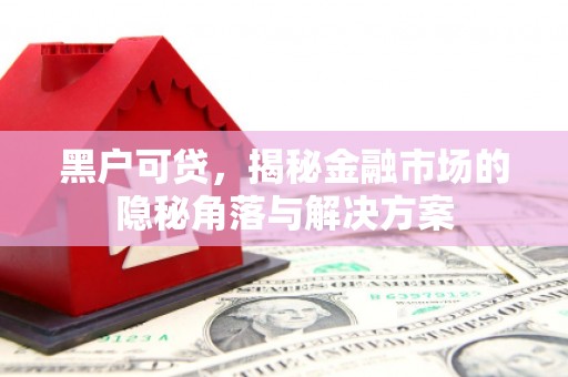缙云黑户可贷，揭秘金融市场的隐秘角落与解决方案