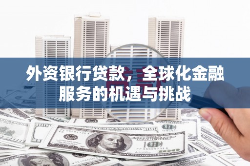 缙云外资银行贷款，全球化金融服务的机遇与挑战