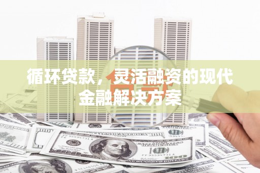 缙云循环贷款，灵活融资的现代金融解决方案