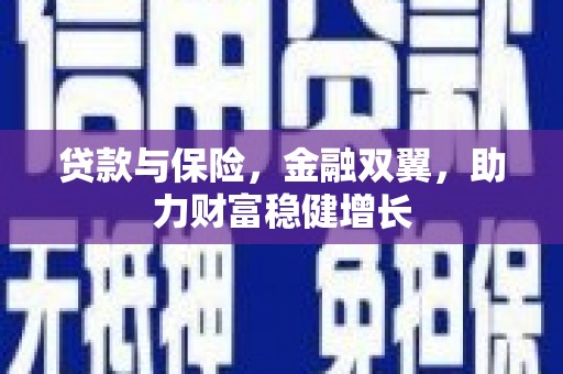 缙云贷款与保险，金融双翼，助力财富稳健增长