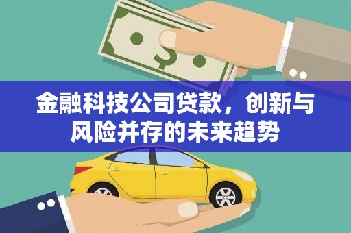 缙云金融科技公司贷款，创新与风险并存的未来趋势