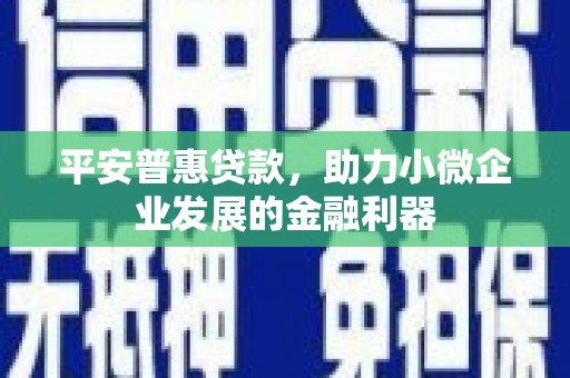 缙云平安普惠贷款，助力小微企业发展的金融利器