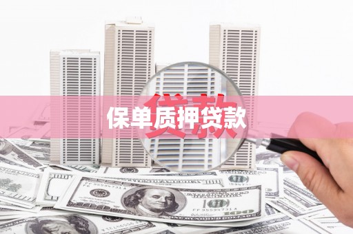 缙云保单质押贷款