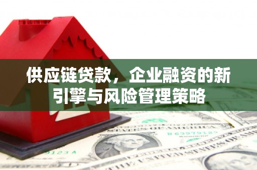 缙云供应链贷款，企业融资的新引擎与风险管理策略