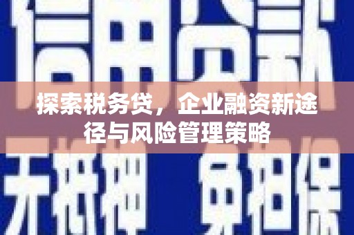 缙云探索税务贷，企业融资新途径与风险管理策略
