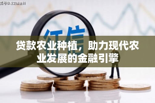 缙云贷款农业种植，助力现代农业发展的金融引擎