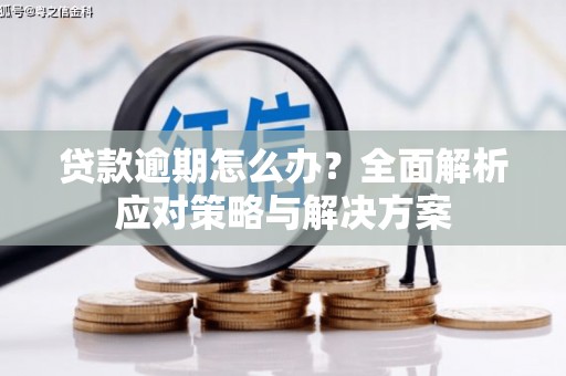 缙云贷款逾期怎么办？全面解析应对策略与解决方案