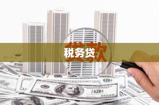 缙云税务贷