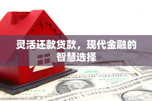 缙云灵活还款贷款，现代金融的智慧选择