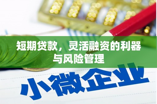 缙云短期贷款，灵活融资的利器与风险管理