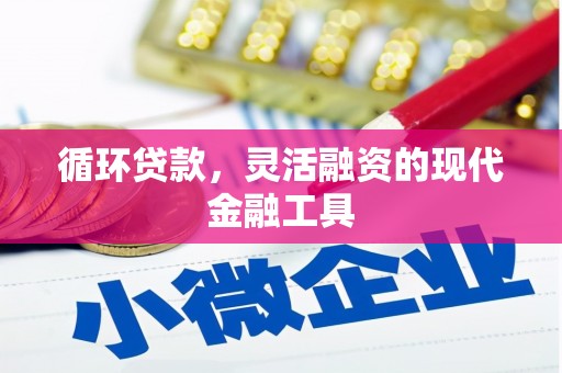 缙云循环贷款，灵活融资的现代金融工具