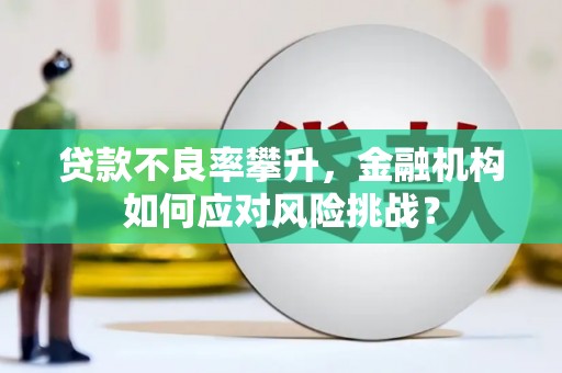 缙云贷款不良率攀升，金融机构如何应对风险挑战？