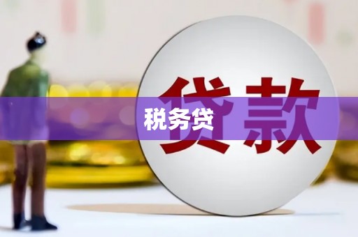 缙云税务贷