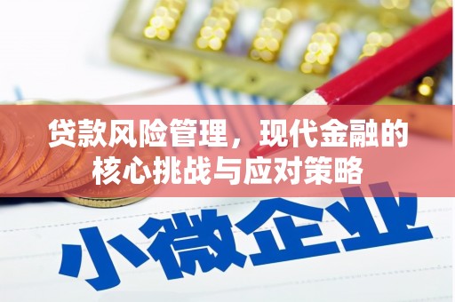 缙云贷款风险管理，现代金融的核心挑战与应对策略