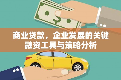 缙云商业贷款，企业发展的关键融资工具与策略分析