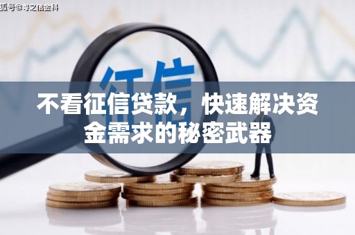 缙云不看征信贷款，快速解决资金需求的秘密武器