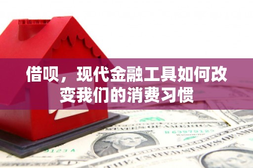 缙云借呗，现代金融工具如何改变我们的消费习惯