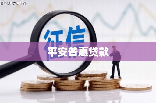 缙云平安普惠贷款