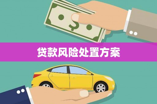 缙云贷款风险处置方案