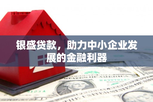 缙云银盛贷款，助力中小企业发展的金融利器