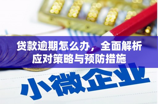 缙云贷款逾期怎么办，全面解析应对策略与预防措施