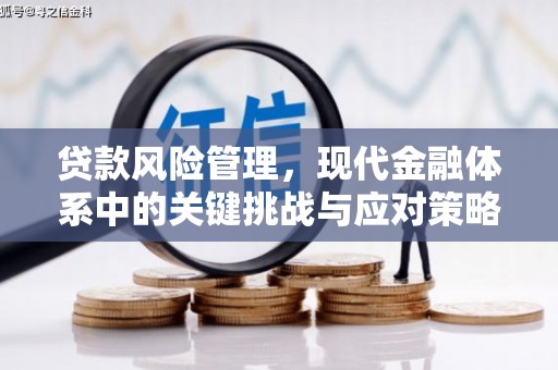 缙云贷款风险管理，现代金融体系中的关键挑战与应对策略