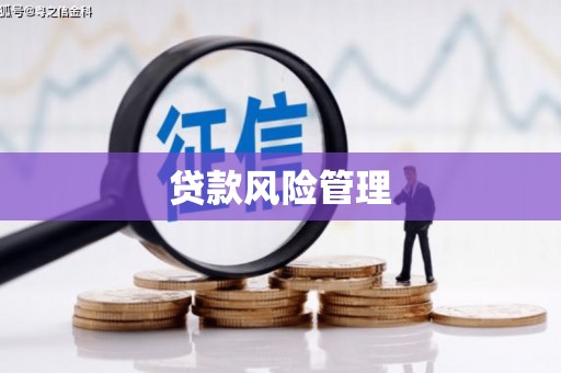 缙云贷款风险管理