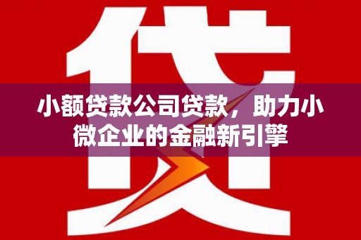 缙云小额贷款公司贷款，助力小微企业的金融新引擎