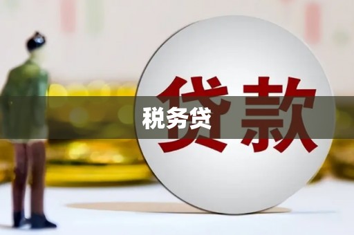 缙云税务贷