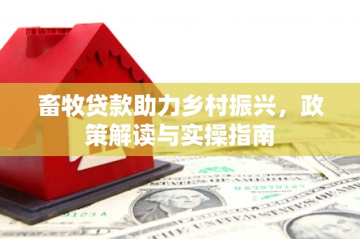 缙云畜牧贷款助力乡村振兴，政策解读与实操指南