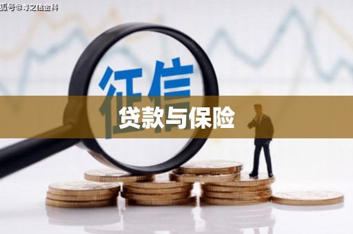 缙云贷款与保险