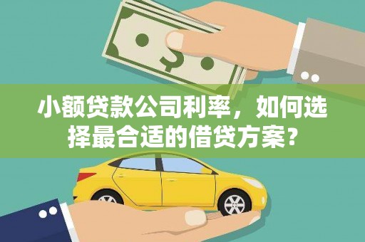 缙云小额贷款公司利率，如何选择最合适的借贷方案？