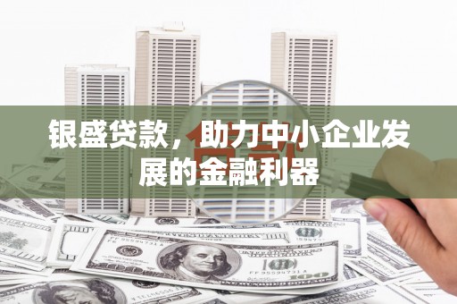 缙云银盛贷款，助力中小企业发展的金融利器